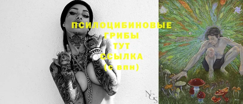 Галлюциногенные грибы Psilocybine cubensis Галич